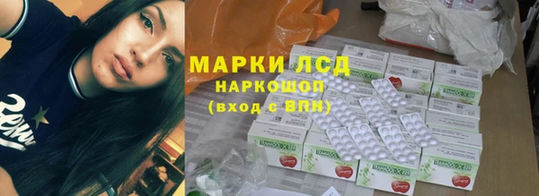 мет Алексин