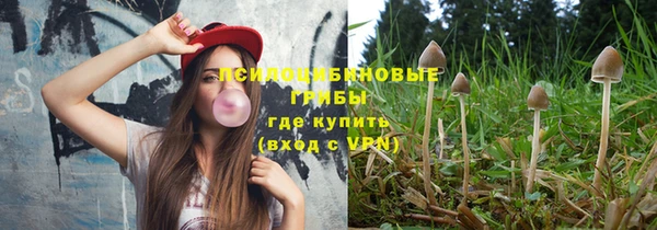 дживик Алексеевка