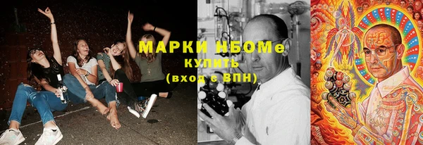 мет Алексин