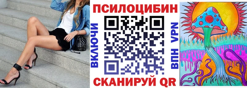 Псилоцибиновые грибы мицелий MEGA Данилов