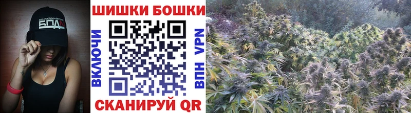 Шишки марихуана сатива где найти наркотики blacksprut tor Данилов